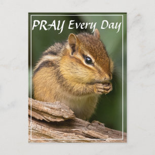 Bid elke dag Chipmunk Briefkaart