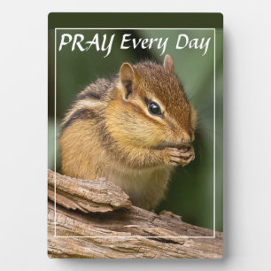 Bid elke dag Chipmunk Fotoplaat