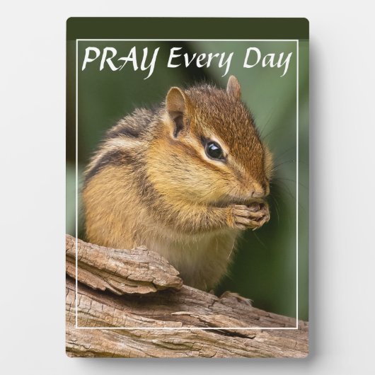 Bid elke dag Chipmunk Fotoplaat (voorkant)