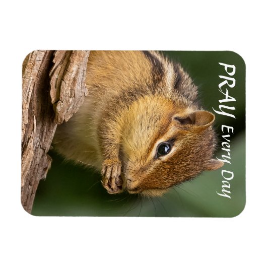 Bid elke dag Chipmunk Magneet (Horizontaal)