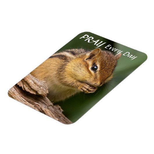 Bid elke dag Chipmunk Magneet (Linkerzijde)