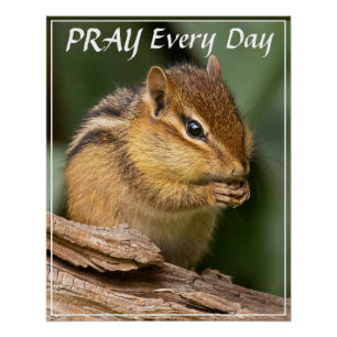 Bid elke dag Chipmunk Perfect Poster