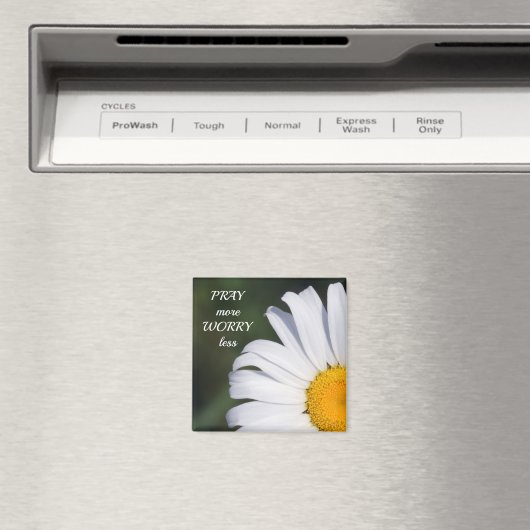 Bid meer zorgen minder offset Daisy Magnet (Insitu (Vaatwasser))