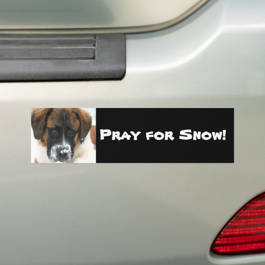 Bid voor sneeuw! bumpersticker (Op auto)
