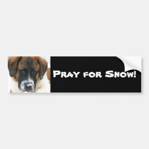 Bid voor sneeuw! bumpersticker