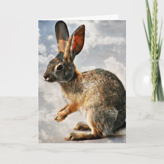 Bidden konijntje in de hemel kaart (Voorkant)