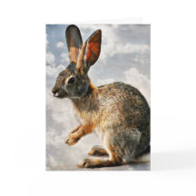 Bidden konijntje in de hemel