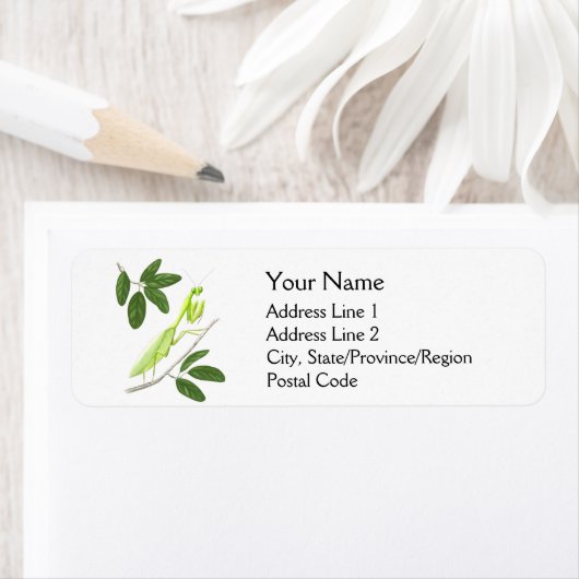 Bidden Mantis Adresetiketten Etiket (Insitu)