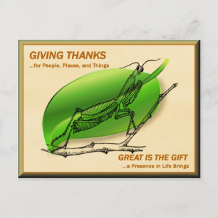 Bidden Mantis Bedankt geven Briefkaart