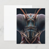 Bidden Mantis Close-up Macro (Voorkant / Achterkant)