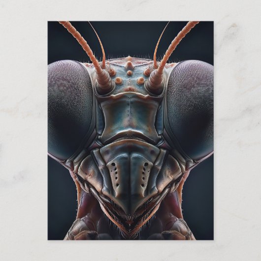Bidden Mantis Close-up Macro Briefkaart (Voorkant)