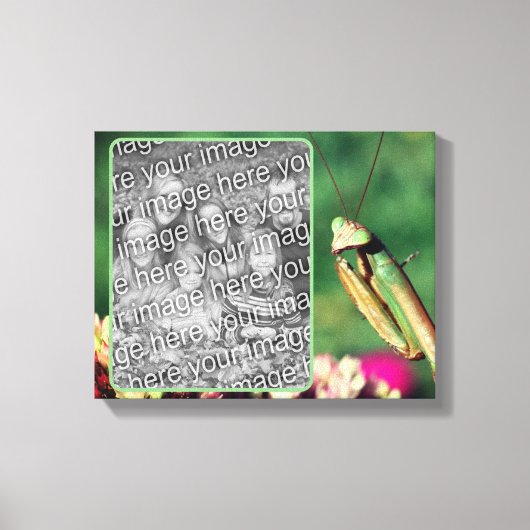Bidden Mantis Creëer Uw eigen foto Canvas Afdruk (Voorkant)