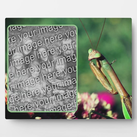 Bidden Mantis Creëer Uw eigen foto Fotoplaat (Voorkant)