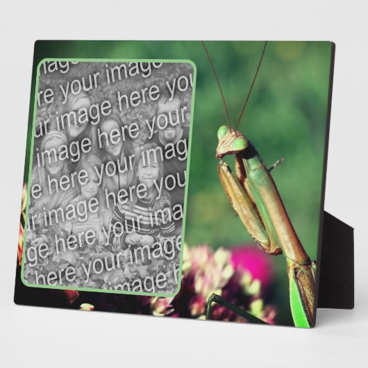 Bidden Mantis Creëer Uw eigen foto Fotoplaat (Zijkant)