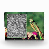 Bidden Mantis Creëer Uw Eigen Fotoblokken (Voorkant)