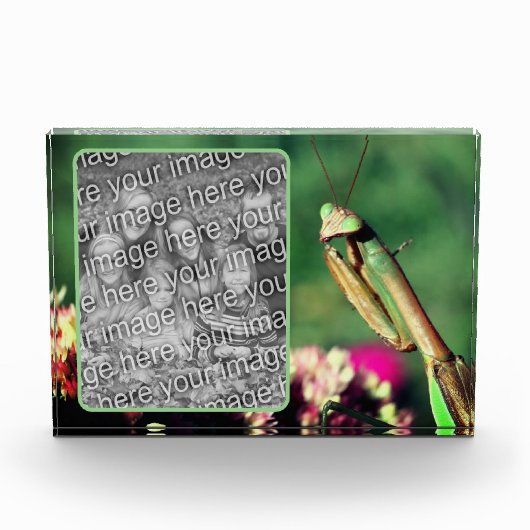 Bidden Mantis Creëer Uw Eigen Fotoblokken (Voorkant)