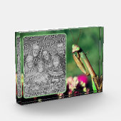 Bidden Mantis Creëer Uw Eigen Fotoblokken (Links)