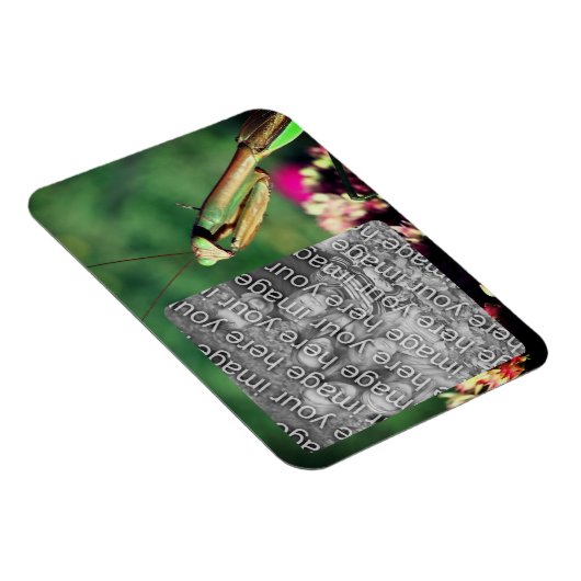 Bidden Mantis Lijst Creëer Je eigen foto Magneet (Rechterzijde)