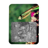 Bidden Mantis Lijst Creëer Je eigen foto Magneet (Verticaal)