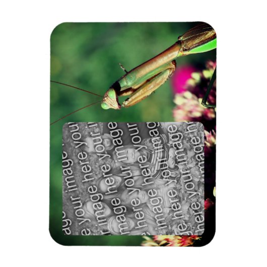 Bidden Mantis Lijst Creëer Je eigen foto Magneet (Verticaal)