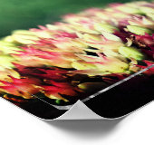 Bidden Mantis Lijst Creëer Je eigen foto Poster (Hoek)