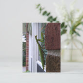 Bidden Mantis op bakstenen muur Briefkaart (Staand voorkant)