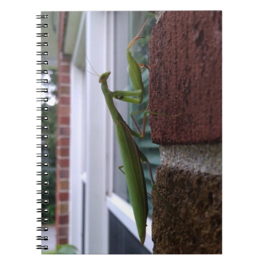 Bidden Mantis op bakstenen muur Notitieboek (Voorkant)