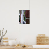 Bidden Mantis op bakstenen muur Poster (Keuken)