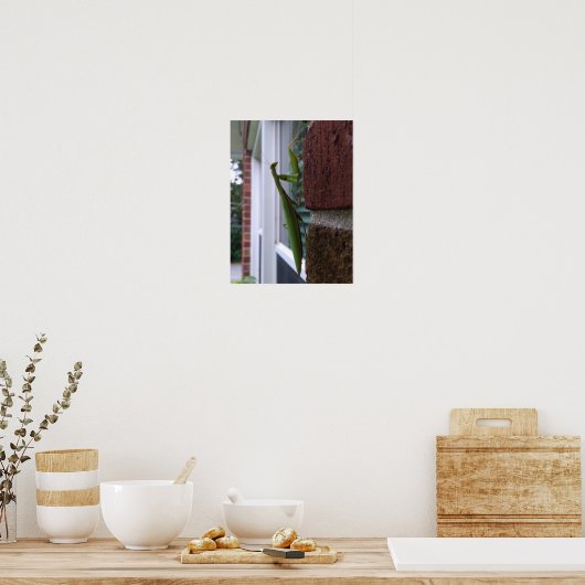 Bidden Mantis op bakstenen muur Poster (Keuken)