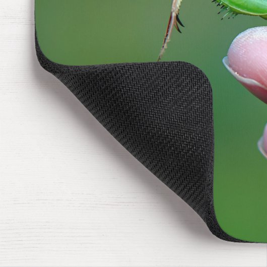 Bidden Mantis op een hand Muismat (Hoek)