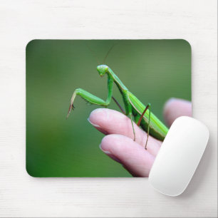 Bidden Mantis op een hand Muismat