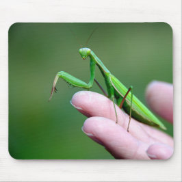 Bidden Mantis op een hand Muismat