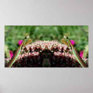 Bidden Mantis op Sedum Flower Mirror Abstract Poster