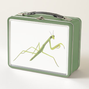 Bidden Mantis op witte achtergrond lunchdozen