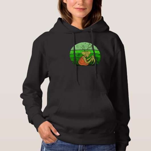 Bidden Mantis Retro Groen Insect Hoodie (Voorkant)