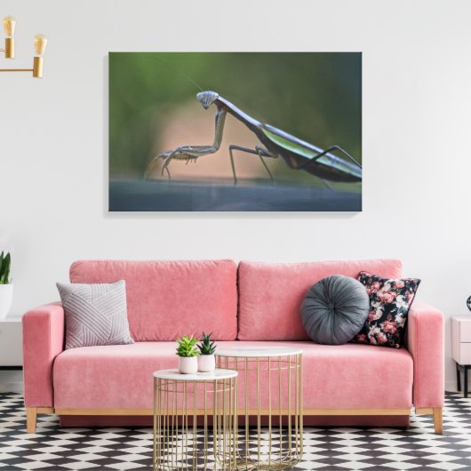 Bidden Mantis verpakt Canvas (Insitu (Woonkamer))