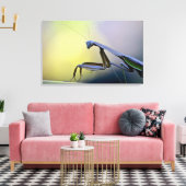 Bidden Mantis verpakt Canvas Afdruk (Insitu (Woonkamer))