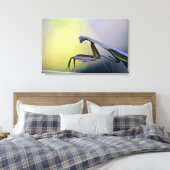 Bidden Mantis verpakt Canvas Afdruk (Insitu (Slaapkamer))