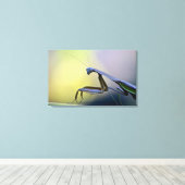 Bidden Mantis verpakt Canvas Afdruk (Insitu (Houten vloer))