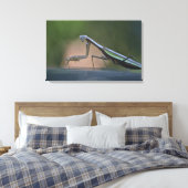 Bidden Mantis verpakt Canvas Afdruk (Insitu (Slaapkamer))