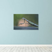 Bidden Mantis verpakt Canvas Afdruk (Insitu (Houten vloer))