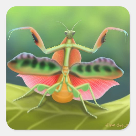 Bidden Mantis weergeven Vierkante Sticker (Voorkant)
