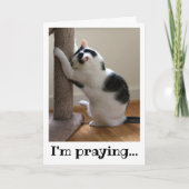 Bidden met een zwarte en witte kat kaart (Voorkant)