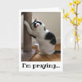 Bidden met een zwarte en witte kat kaart (Gele Bloem)