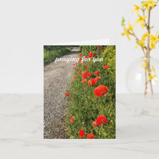 Bidden voor jou, aangepaste originele natuurfoto m kaart