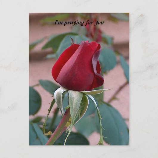 bidden voor jou briefkaart (Voorkant)