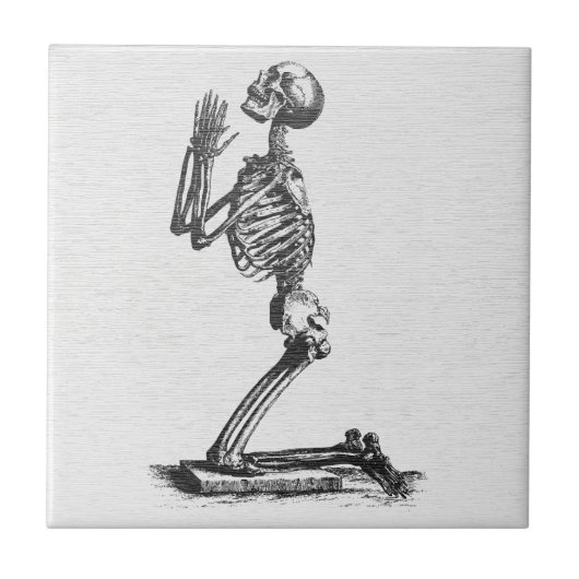 Biddend Skelet - Vintage Anatomische Kunst Tegeltje (Voorkant)