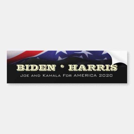 BIDEN HARRIS 2020 Bumpersticker Campaign 2020 (Voorkant)