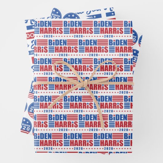 Biden/Harris 2020 Dag Don Pattern Inpakpapier Vel (In situ)