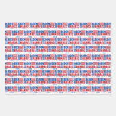 Biden/Harris 2020 Dag Don Pattern Inpakpapier Vel (Voorkant)